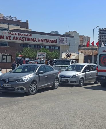 Mardin Eğitim Araştırma (1)