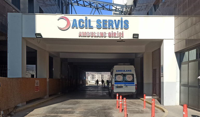 Mardin’de otomobilin çarptığı kadın hayatını kaybetti