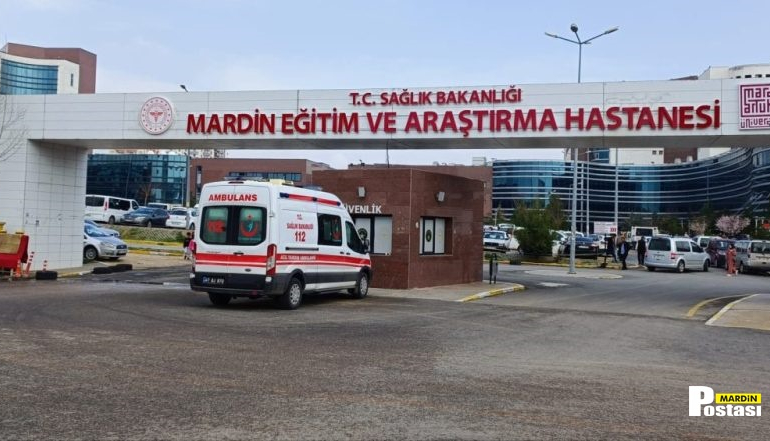 Mardin için endişe verici tablo, intihar oranı arttı