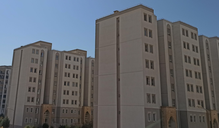 Kızıltepe’de bal hasadı başladı