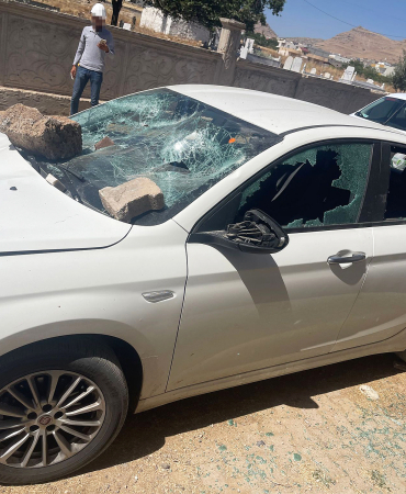 Derik Söğütözü (5)