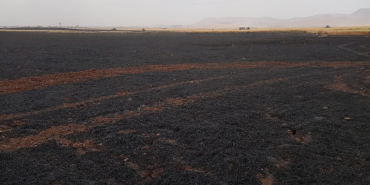 WhatsApp Image 2023-06-09 at 15.02.21 (1)