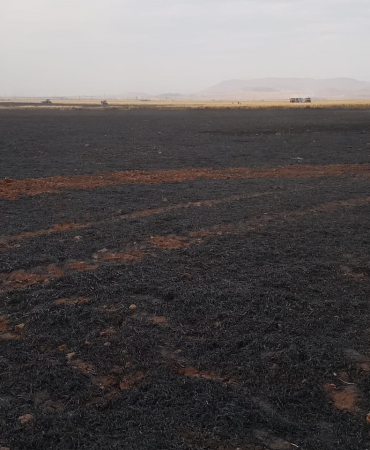 WhatsApp Image 2023-06-09 at 15.02.21 (1)