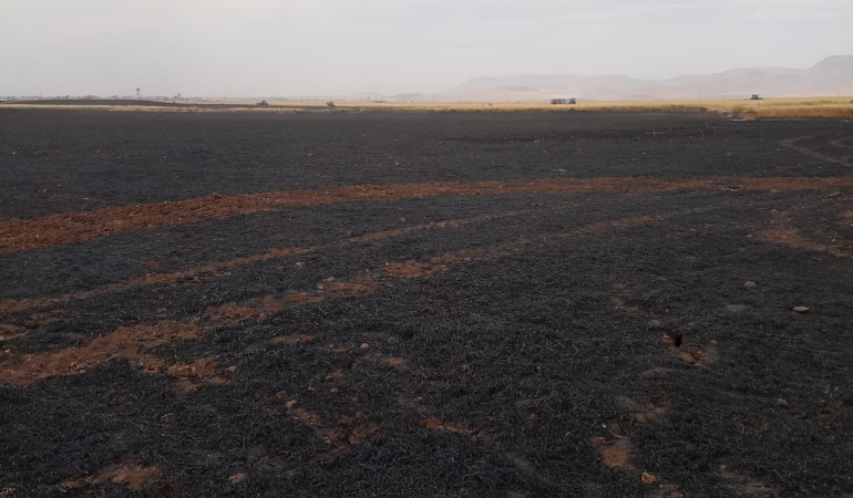 Mardin’de hasat bekleyen yaklaşık 200 dönüm buğday kül oldu