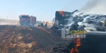 WhatsApp Image 2023-06-29 at 11.30.56 (1)