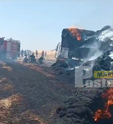 WhatsApp Image 2023-06-29 at 11.30.56 (1)