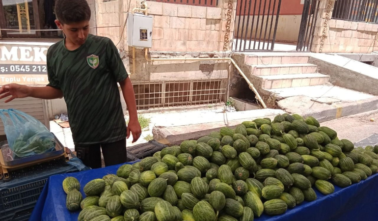 Mardin’in tescili “yeşil altını” tezgahlarda yerini aldı