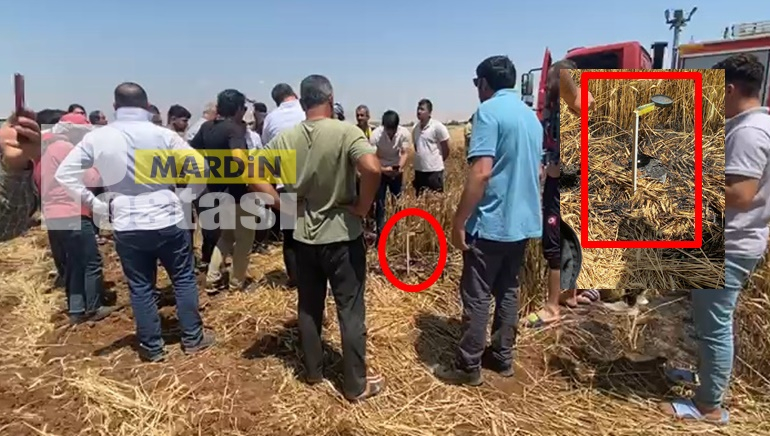 Mardin’de akıl almaz olay! Mercek düzeneği kurdular, ekili tarla küle döndü