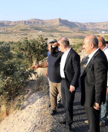 WhatsApp Image 2023-07-19 at 17.19.31