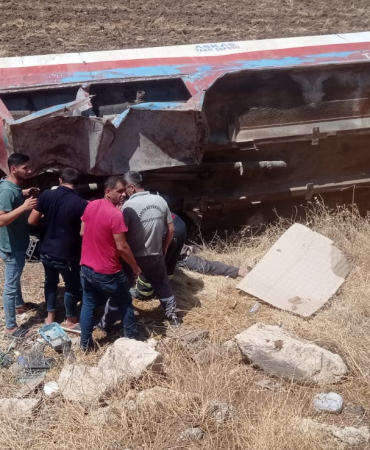 WhatsApp Image 2023-07-28 at 23.04.04