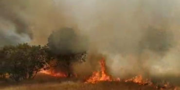 WhatsApp Image 2023-08-13 at 23.50.53