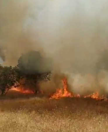 WhatsApp Image 2023-08-13 at 23.50.53