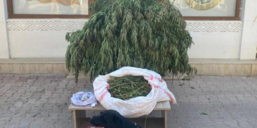 WhatsApp Image 2023-08-15 at 18.01.56