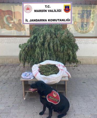 WhatsApp Image 2023-08-15 at 18.01.56