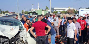 WhatsApp Image 2023-08-30 at 11.18.31