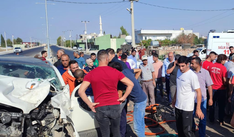 WhatsApp Image 2023-08-30 at 11.18.31