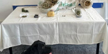 WhatsApp Image 2023-09-13 at 09.31.58