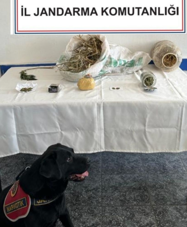 WhatsApp Image 2023-09-13 at 09.31.58