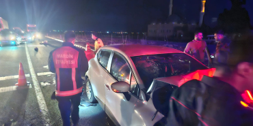 WhatsApp Image 2023-10-20 at 23.48.49