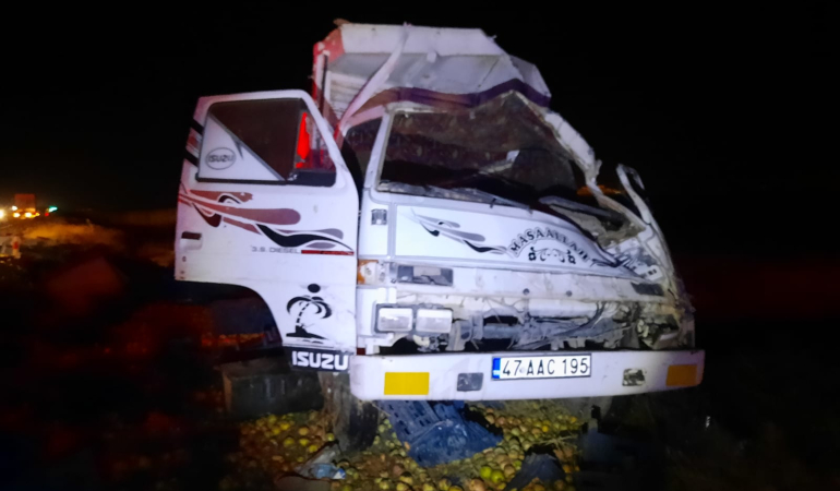 WhatsApp Image 2023-11-11 at 21.16.17