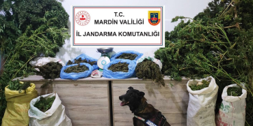 WhatsApp Image 2023-11-15 at 17.03.36