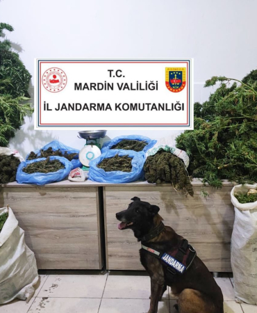 WhatsApp Image 2023-11-15 at 17.03.36