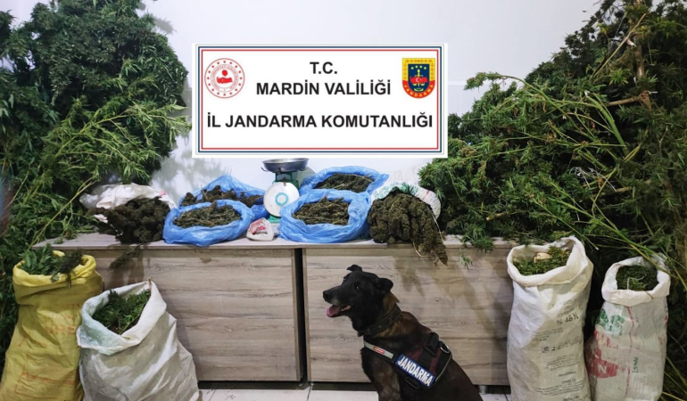 Kızıltepe’de manav dükkanında uyuşturucu satan şüpheli tutuklandı