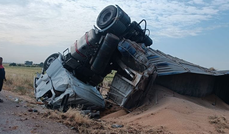 Mardin’de buğday yüklü tır devrildi: 1 yaralı