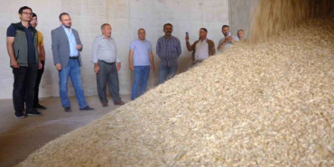 mardin