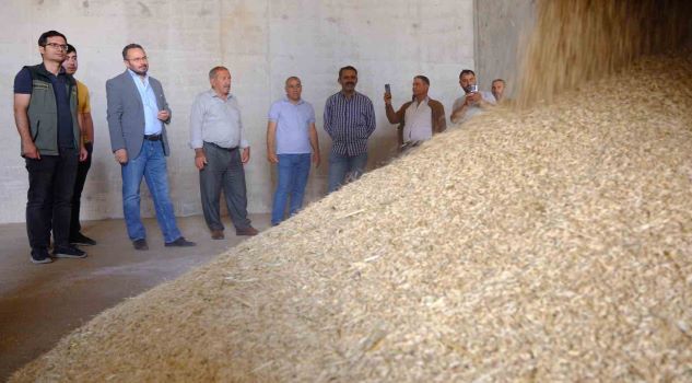 Mardin’de hasat başladı: İlk ürün 10 bin liraya satıldı