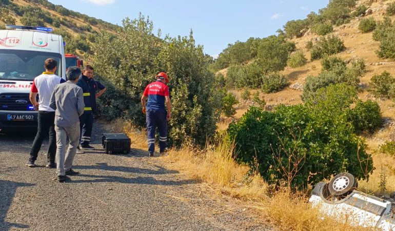 Mardin’de kamyonet şarampole devrildi: 1 yaralı
