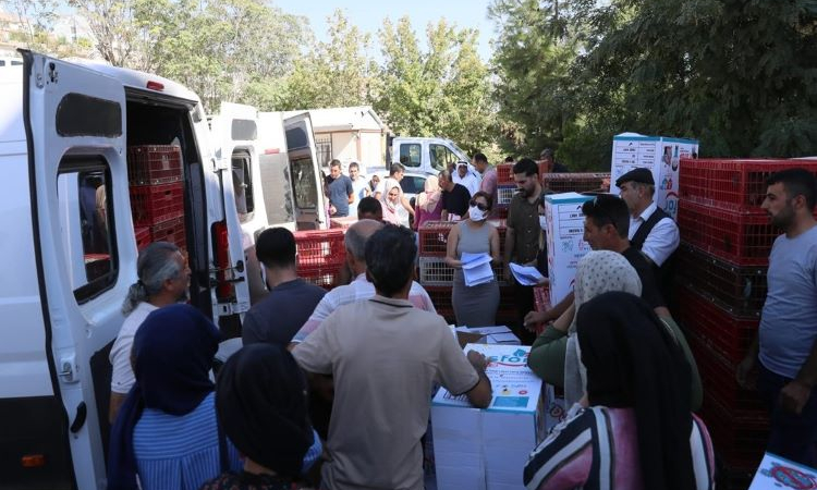 Mardin’de 5 Bin Hindi Palazı Dağıtıldı