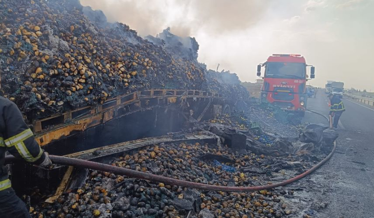 Mardin’de armut yüklü TIR, alev alarak yandı