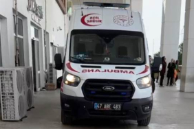 mardin nusaybin