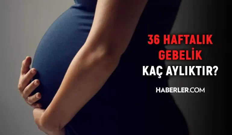 36 haftalık gebelik kaç aylık oluyor? Hamilelikte hakikat bilinen yanlışlar!