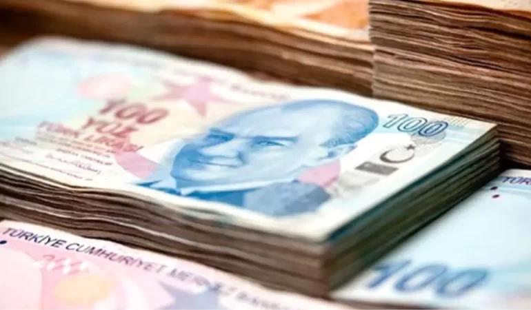 Doğum Yardımı Temmuz Ödemeleri Hesaplara Yattı