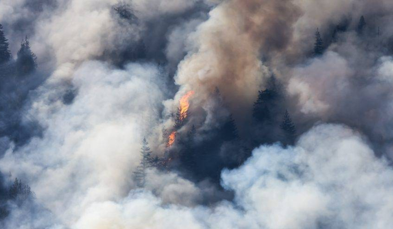 Amerika Yangını Felaketi: Son Durum 