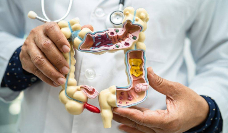 Bağırsak Sağlığı Neden Önemli?