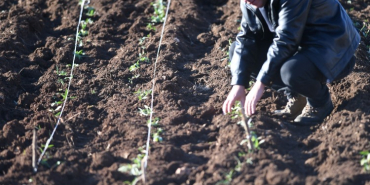 mardin büyükşehir belediyesi