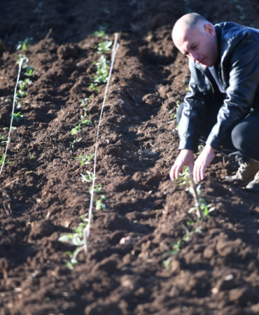 mardin büyükşehir belediyesi