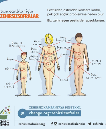 pestisitlerde-guvenli-doz-algisi-yaniltici-mi-4Y3txDHY.jpeg