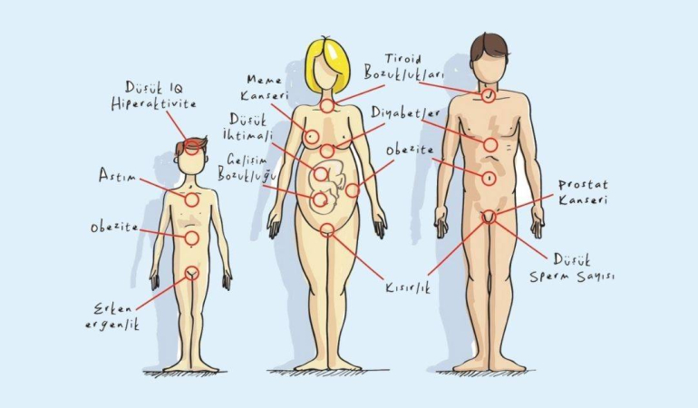Pestisitlerde Güvenli Doz Algısı Yanıltıcı mı?