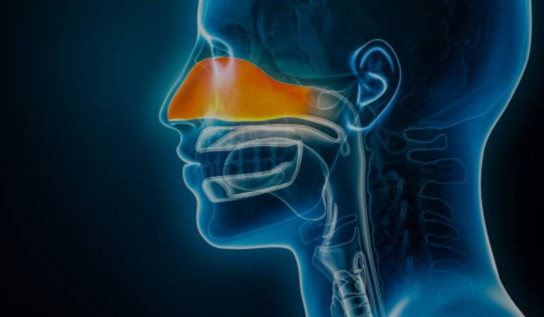 Sinüzit Aromaterapik Formülle İyileşir mi ?