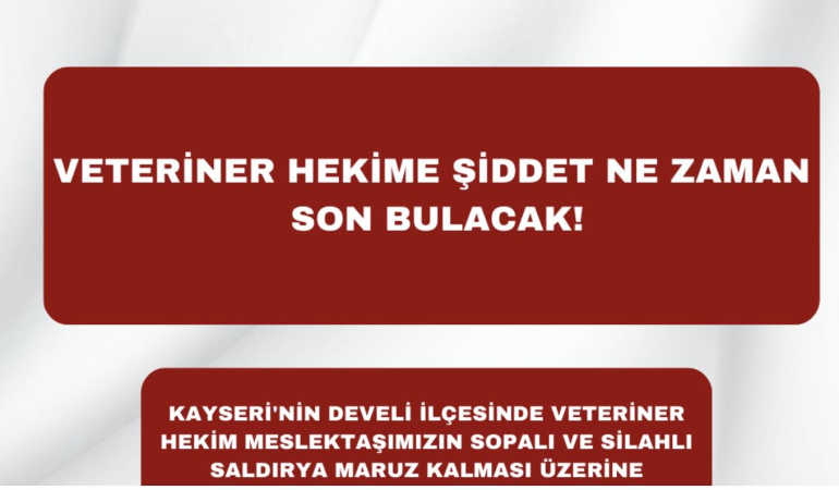 Veteriner Hekime Sopa ve Ateşli Silahla Saldırı
