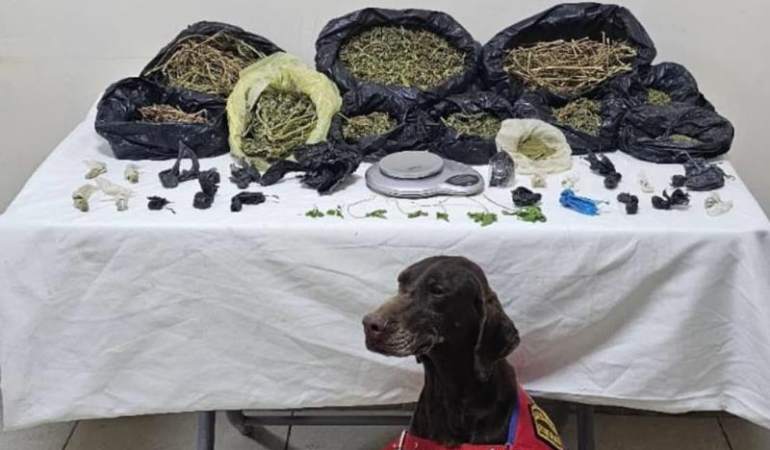 Kızıltepe’de uyuşturucu ticareti yapan şahıs tutuklandı