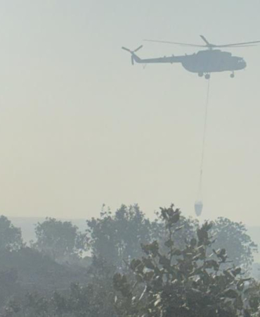 WhatsApp Image 2025-06-29 at 17.45.49