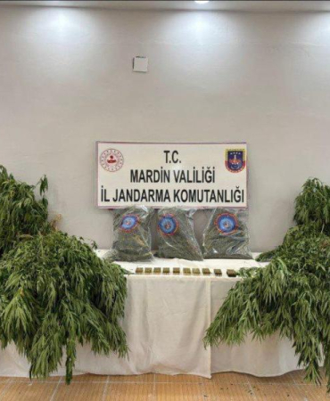 WhatsApp Image 2025-08-12 at 09.13.02