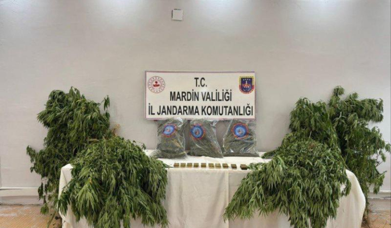Mardin’de uyuşturucu üreticilerine operasyon