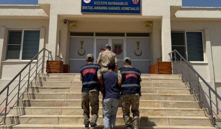 Mardin’de hayvanlarla ilgili ‘uygunsuz paylaşım’ yapan kişi gözaltına alındı