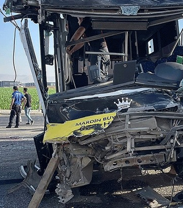 WhatsApp Image 2025-08-27 at 09.43.40